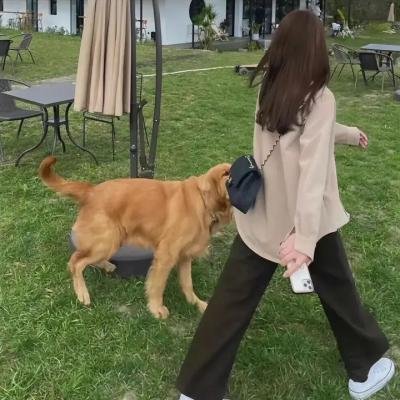 灵书妙探第六季